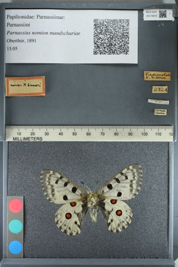 Media type: image;   Entomology 174973